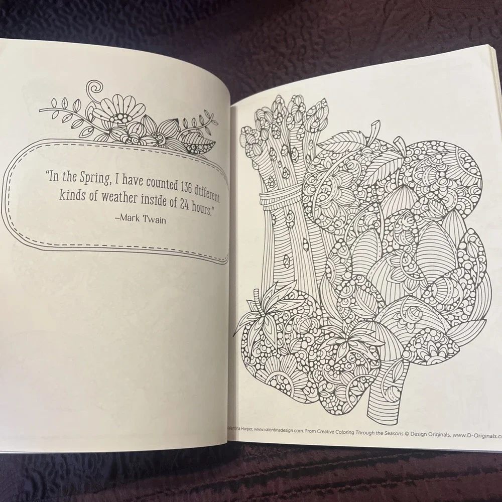 Lot Of 2 Adult Coloring Books Creative Coloring Through Season & Exotic Chickens
